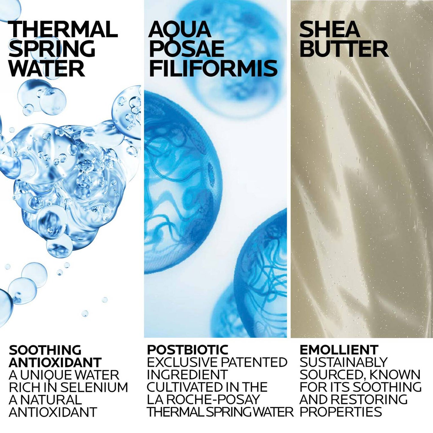 lipikar-wash-ap-moisturizing-body-and-face-wash-m1 Lipikar-Wash-ingredients_1500x1500-REV.jpg